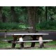 Boomstam picknicktafel Kastanje + Eiken 200cm
