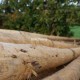 Douglas Lariks paal 500cm ø12-14cm rond ongepunt