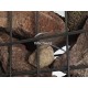 Betafence Zenturo Afstandhouders doos zincalu super (100x)